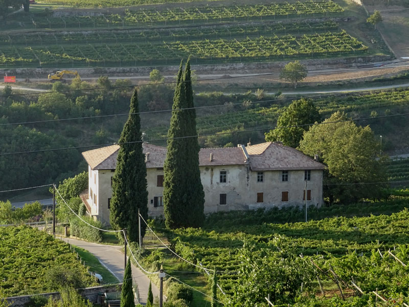 Giro del Monteghello -  sentiero F1 (Rovereto)